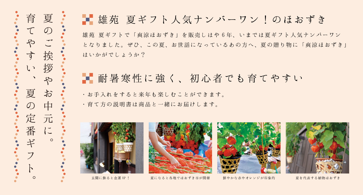 夏ギフト