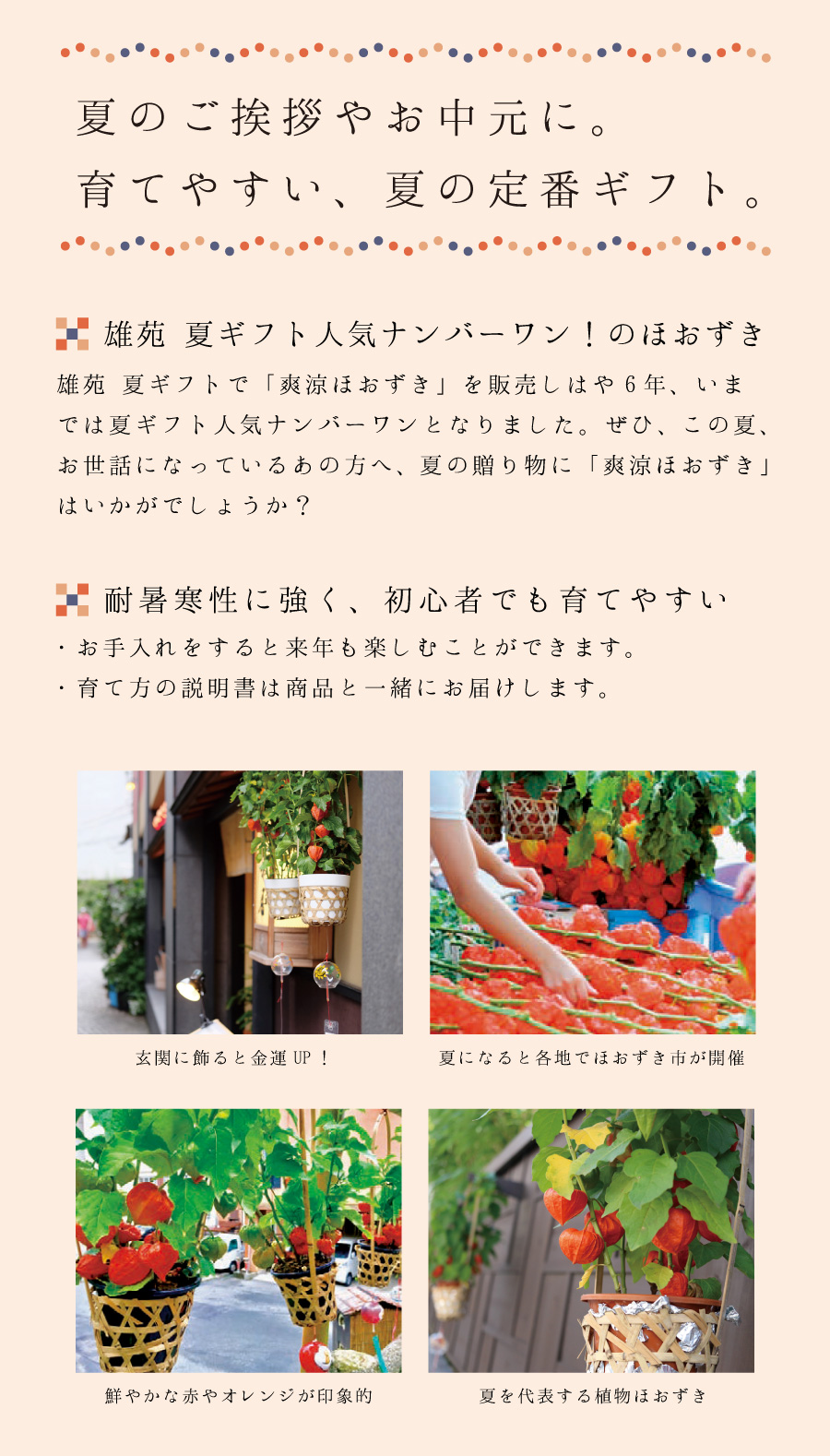 夏ギフト