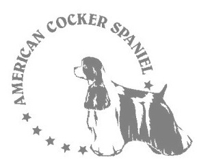 アメリカンコッカースパニエルB　180の画像