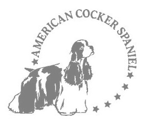 アメリカンコッカースパニエルB　280の画像
