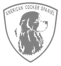 アメリカンコッカースパニエルB　500の画像