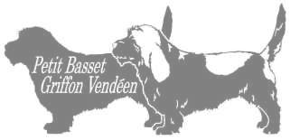 プチバセットグリフォンバンデーン　420の画像