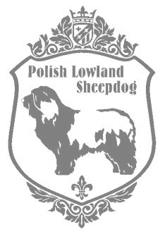 ポーリッシュ・ローランドＳＤ　900の画像