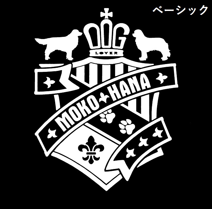 SDCの画像