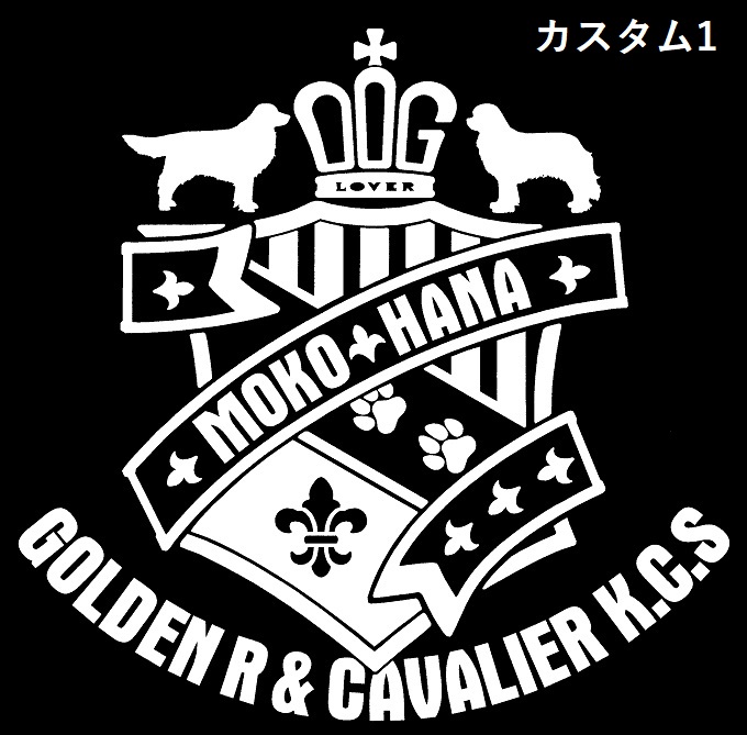 SDCの画像