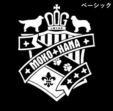 SDCの画像