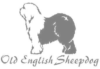 オールドイングリッシュシープドッグ　100の画像
