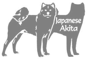 アキタ　400の画像