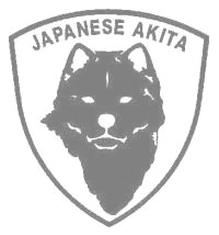 アキタ　500の画像
