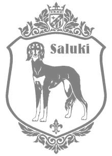 サルーキ　920の画像