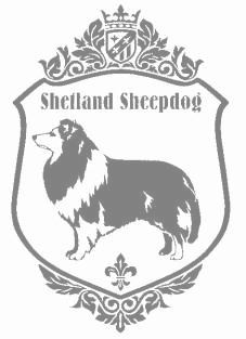 シェットランドシープドッグ　900の画像