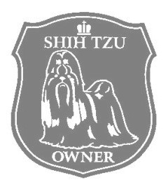シーズー　00Dの画像