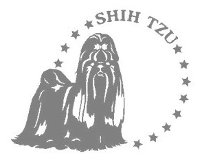 シーズー　280の画像