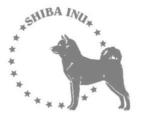 シバ　180の画像