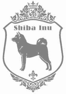 シバ　900の画像