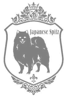 スピッツ　920の画像
