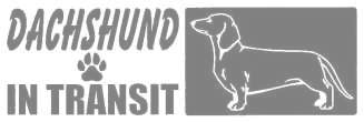 ダックスフント（スムース）Ａ　620の画像