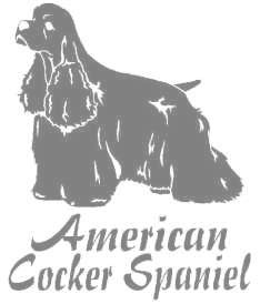 アメリカンコッカースパニエルA　200の画像