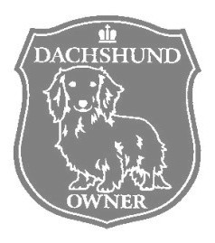 ダックスフント（ロング）A　00Dの画像