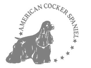 アメリカンコッカースパニエルA　280の画像