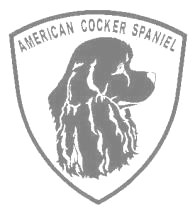 アメリカンコッカースパニエルA　500の画像