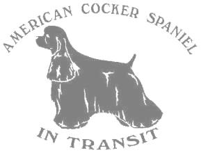 アメリカンコッカースパニエルA　600の画像
