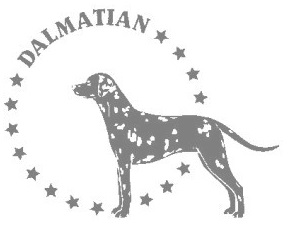 ダルメシアン　180の画像
