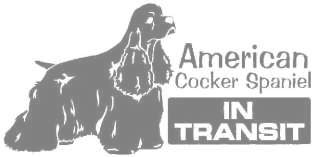 アメリカンコッカースパニエルA　650の画像
