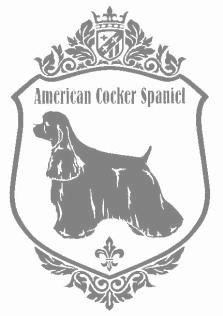 アメリカンコッカースパニエルA　900の画像