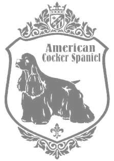 アメリカンコッカースパニエルA　920の画像