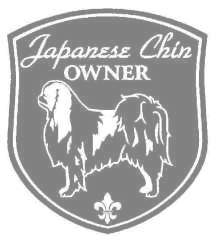 チン　00Cの画像