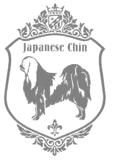 チン　900の画像