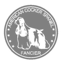 アメリカンコッカースパニエルB　00Eの画像