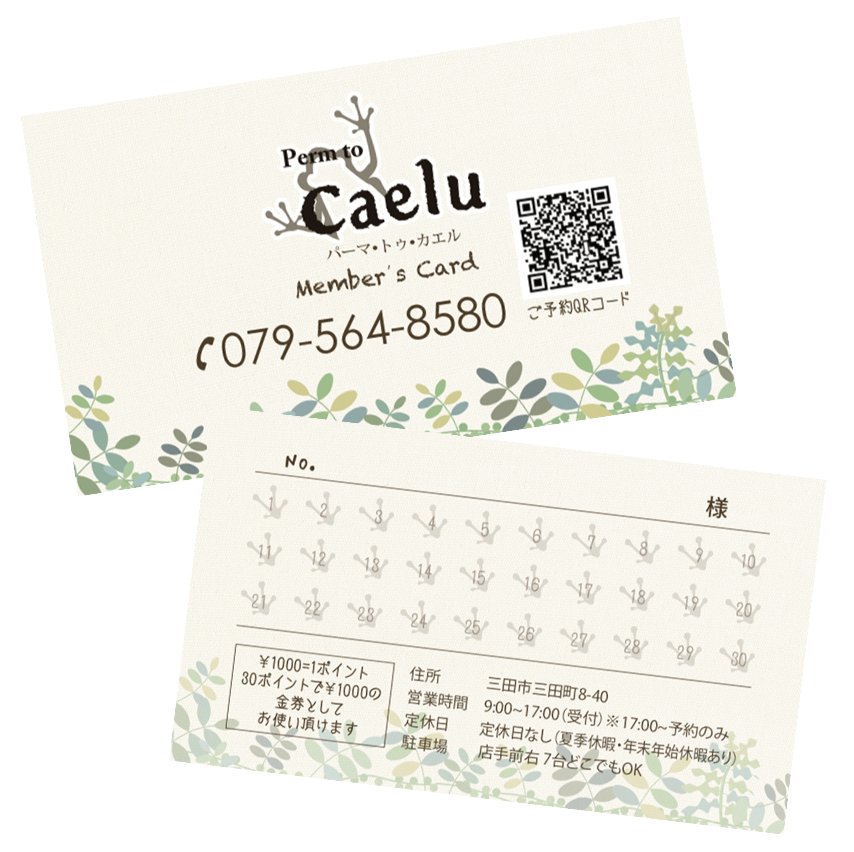 2つ折 カードの画像