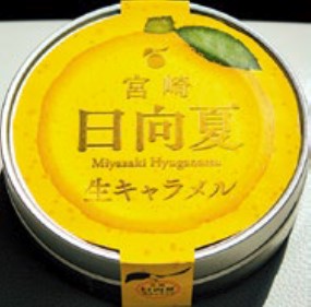 日向夏 マンゴー｜株式会社響
