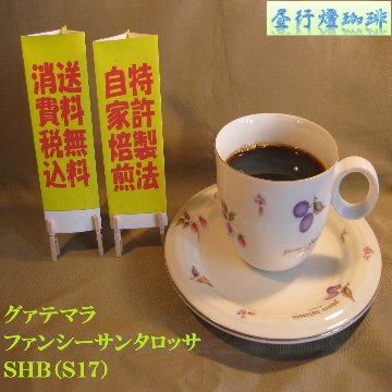 グアテマラファンシーサンタロッサSHB　S製法の画像