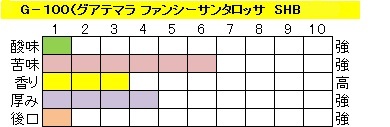 アイスコーヒー　グァテマラ 【Ｇ-１００】の画像