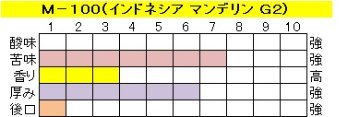 アイスコーヒー　マンデリン 【Ｍ-１００】の画像