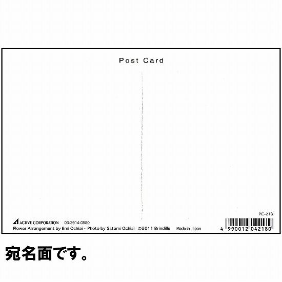落合恵美 フラワーポストカード PE-215画像