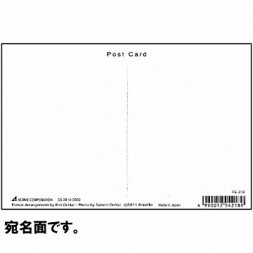 落合恵美 フラワーポストカード PE-215画像