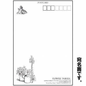 花の妖精ポストカード（みやこ草）画像