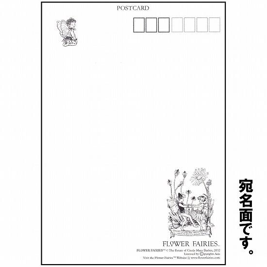 花の妖精ポストカード（矢車草）画像