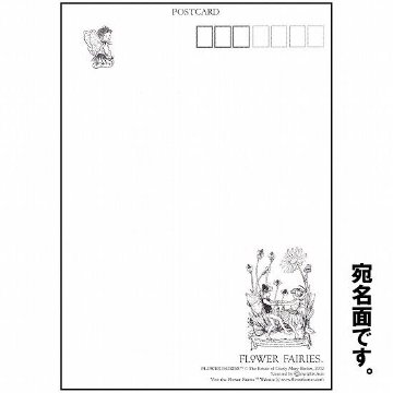 花の妖精ポストカード（矢車草）画像