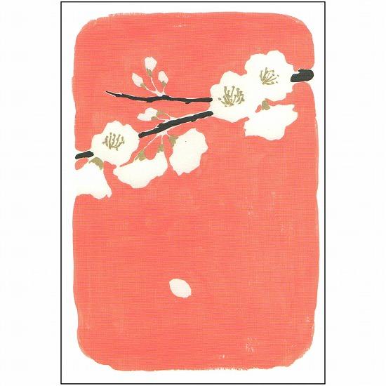 北原明日香 ポストカード（桜）画像