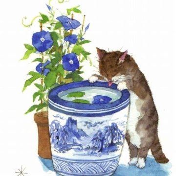 三好貴子 ポストカード（水飲み）の画像
