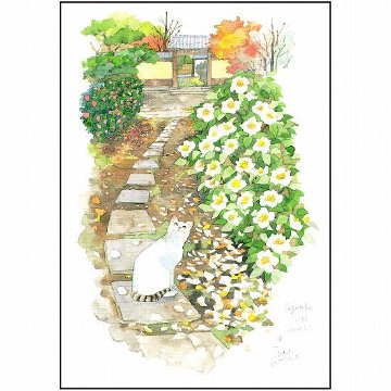 三好貴子 ポストカード（サザンカ咲いた道）の画像