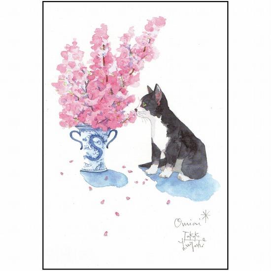 三好貴子 ポストカード（桜を見つめる猫）の画像