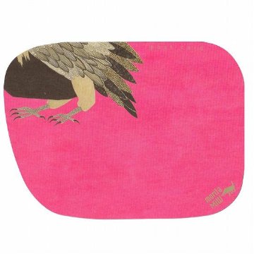 morita MiW　ポストカード（美しい色の鳥と美しい色の花）画像