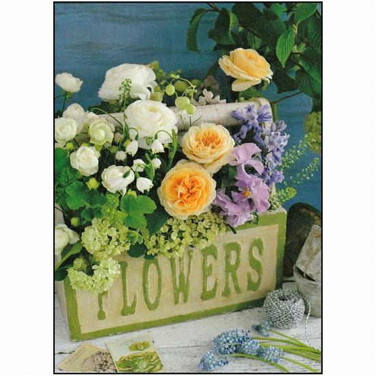 たなべゆり フラワーポストカード PN-1081の画像