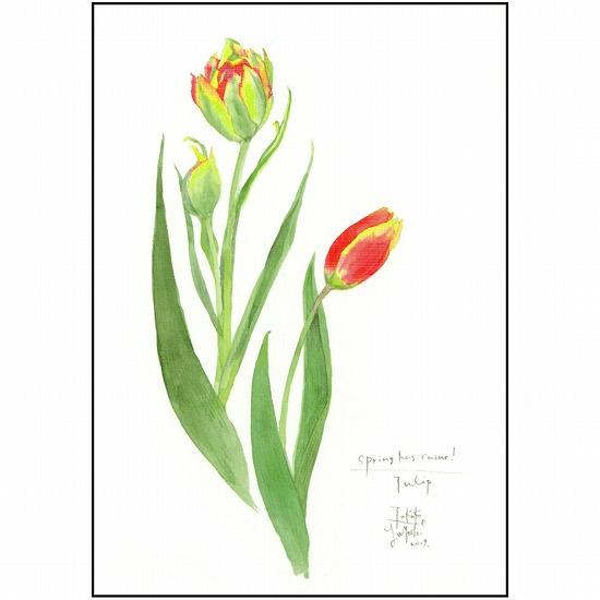 三好貴子 ポストカード（春が来た！）の画像